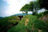 hartmannswillerkopf